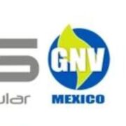 Logo de camigas.mx